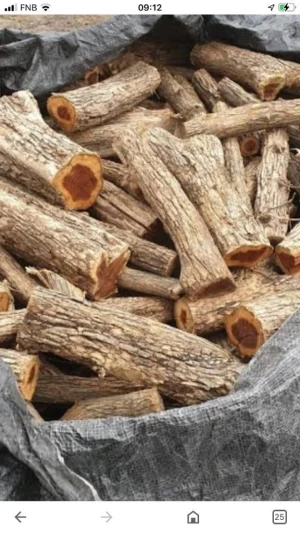 Premium Quality Acacia (Sekelbos) Firewood Logs
