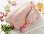 High Quality chicken leg Wholesale Prices Fresh Frozen Halal Frozen Chicken Feet/Paws for Sale