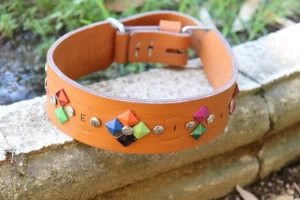 Customizable original leather dog collars/ leads handmade
