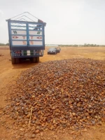 Iron Ore