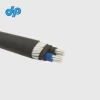 600V Copper and Aluminum Alloy Concentric Cable