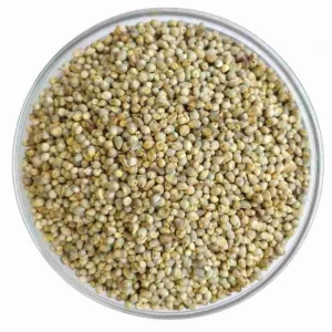 Factory price pearl millet wholesale premium grade millet bulk shipment ready