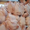 High Quality Organic Bulk Frozen Whole Chicken Grade