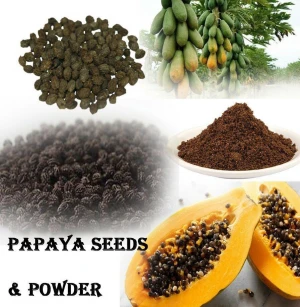 High Quality Dried Papaya Seed / Papaya Seed Powder