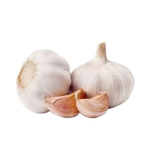 Wholesale price premium grade Fresh White and Red Garlic for export