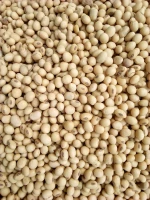 Quality Soybean/Soya Bean (Dried) Yellow