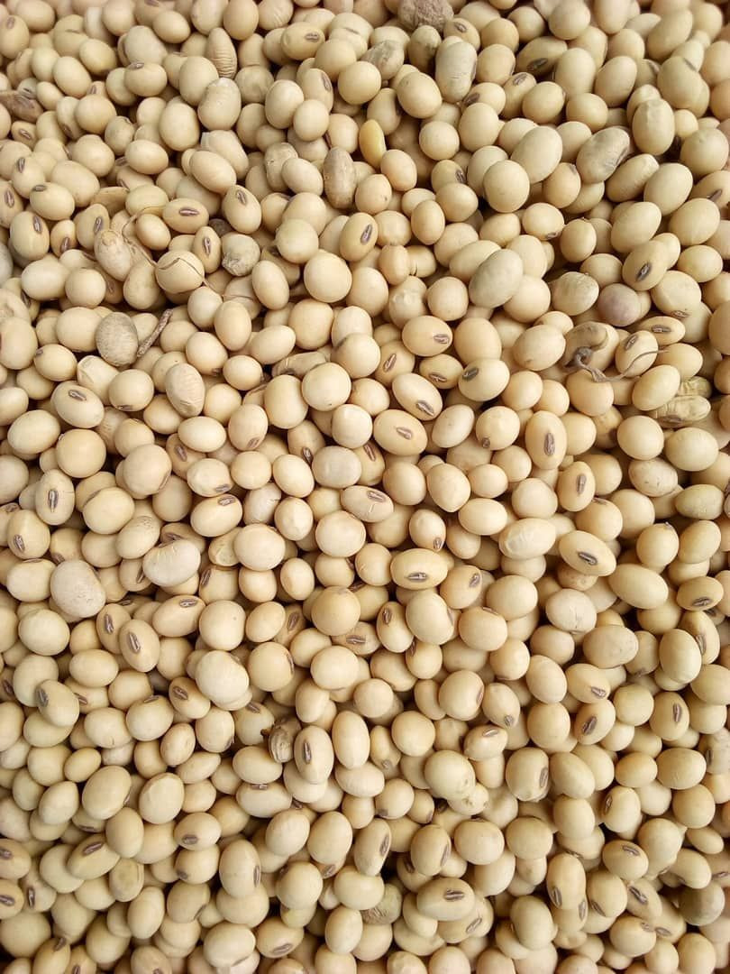Import Quality Soybean/soya Bean (dried) Yellow from Kenya Find FOB