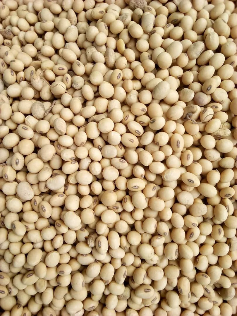 Buy Quality Soybean/soya Bean (dried) Yellow from FARMSTEAD MERCHANTS