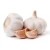 Import Wholesale price premium grade Fresh White and Red Garlic for export from USA