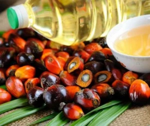 palm oil