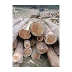 African Teak logs ready for shipment to manufacturers and distributors