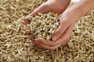 Vietnamese Wood Pellet