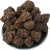 Import Black Truffle Fresh truffles Truffle Mushroom from China from China