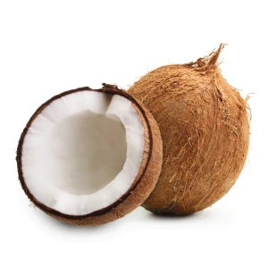 Farm Fresh Semi Husked Coconut Ideal for Healthy Recipes