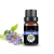 Import Pure Essential Borage Oil Carrier Oil Base Oil from China