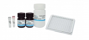 Typhidot (Typhoid fever) ELISA Test Kits
