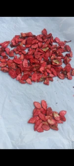 dried tomatoes and tomato powder