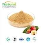 `Hawthorn Extract Powder Flavones 10% Food Grade Crataegus Pinnatifida Bge.`