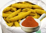 Turmeric and Turmeric powder