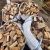 Import Buy Kiln Dried Firewood oak birch, Fire wood beech dry wood Birch ash oak firewood Wholesale from Bahamas