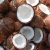 Import Farm Fresh Semi Husked Coconut Ideal for Healthy Recipes from Indonesia