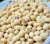 Import Premium Grade Non-GMO Soybeans | High Protein Organic Soy Beans for Export from Nigeria
