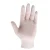 Import GN32 Powder Free Latex Gloves from Sweden
