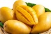 Nature's Finest Mangoes