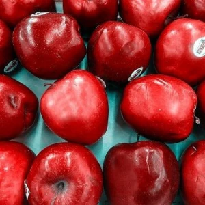 Fresh Apple Top Red Delicious / Fresh Apple For Sale