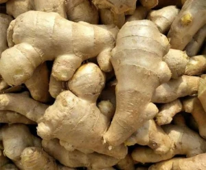 Washed Ginger Best Quality Professional Export Fresh Ginger For Wholesale
