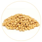 High Quality Dried Egyptian Chickpeas Single Spices Herbs FD Process 25kg 24 Months Shelf Life Export Wholesale Minimum