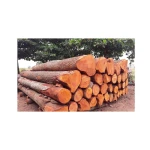 Premium mahogany logs supplied in bulk for furniture and construction projects