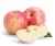 Import Fresh fruit Apple from China