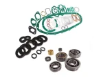 Engine Gasket Sets, Wheel Hub Bearings, Oil Seals