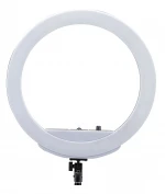RING LIGHT-24W