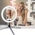 Import 10 Inch 2 seat  Photographic Dimmable Selfie Ring Light LED Fill Light with Tripod Stand Remote Shutter for Live Stream Makeup from China