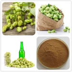 100% Natural Hop Extract powder / Humulus Lupulus Extract/hops extract