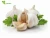 Import 100% Pure Garlic Oil, Concentrated  Essential Oil from China