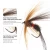 Import 10/20/50pcs Insects Flies Fly Fishing Lures Dragonfly Topwater Bait Dry Flies Trout Artificial Crank Hook Insects Lure from China