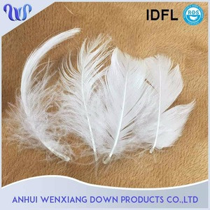 2-4cm Nature Sticky Washed White Duck Feather Price