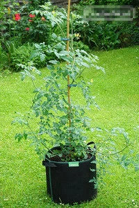 2017 Wholesale Felt Garden Grow Bags 20 Gallon Felt Plant Pots