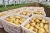 Import 2018 new fresh cheap market price export grade potato from China