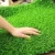 Import 2020 Cheap price 40mm lawn turf best synthetic grass for garden from China