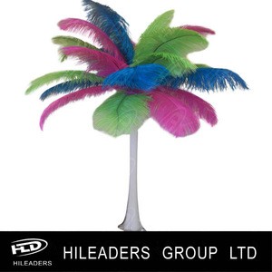2020 Hot Sale Ostrich Feather