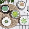 2020 Hot Selling Pinrui New Home Decoration Ceramic pot  Cactus Artificial Succulent Plants