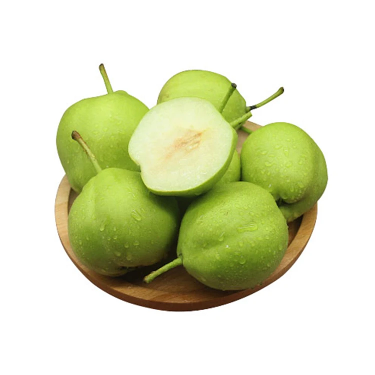 2020 New China Fresh Pear Farm Pear