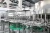 Import 2020 new design small scale fruit juice processing equipment from China