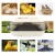 2020 New mini automatic 24-30 chicken egg incubator JANOEL24S for chicken guinea fowl,peasant,duck,goose,quail eggs