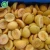 Import 2020 New Processed Frozen Apricot with skin from China