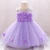 Import 2020 Newborn Baby Little Girls Flower Dresses Kids Ball Gown Wears L1920XZ from China